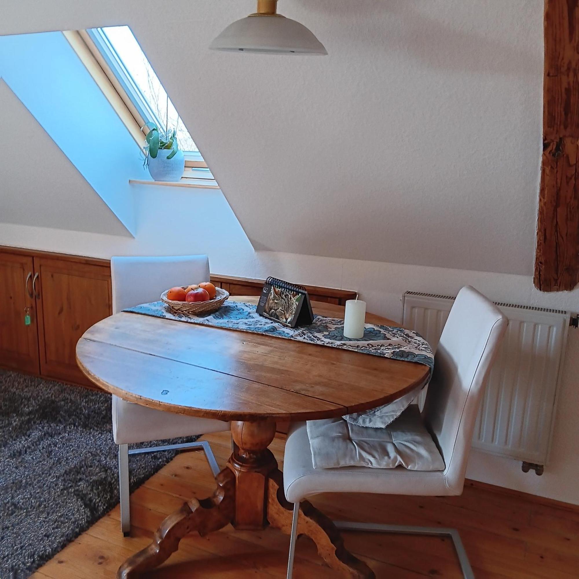 Schwalbennest Kaisitz Apartment Exterior photo